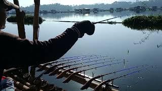 BARU kali ini dpt ikan ini selama mancing di saguling...!!!