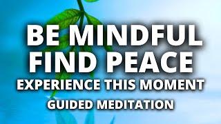 Relax and Find Peace in This Moment | 10 Minute Mindfulness Meditation