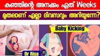 Baby Movement During Pregnancy Malayalam | Which Weeks Fetal Kick Start