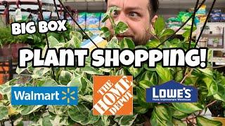 NEW HANGING BASKETS!!  Home Depot, Lowe's & Walmart Plant Shopping in Littleton, NH with David!! 