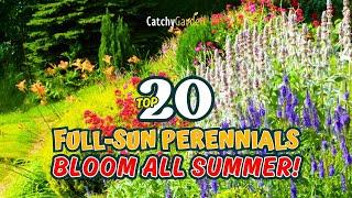 TOP 20 FULL-SUN PERENNIALS that BLOOM ALL SUMMER!  // Gardening Ideas