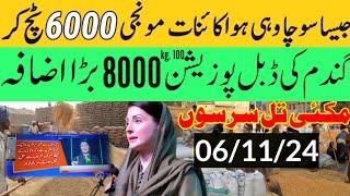 Today Wheat price in punjab//گندم کا ریٹ 2024/munji makki till sarso/Galla mandi rate today