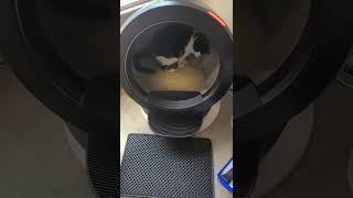 Yes, the Litter Robot 4 by Whisker is worth the $900 fully loaded...(see description)