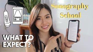 What to expect when starting sonography school | SONO Series