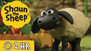 Shaun the Sheep Season 2  All Episodes (1-20)  Birthday Parties & Giant Pizzas  Cartoons for Kids