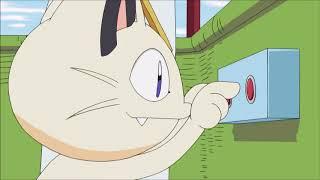 Meowth vs. Staraptor