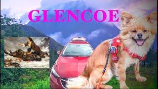 AMAZING Car Camp and Hike with @TeddyBearHikes  (channel updates) | The Massacre of Glencoe