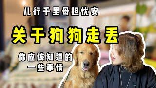 狗狗走丢 | 狗狗不见容易走丢，防止狗狗走丢你应该知道的事情【养汪事务所】