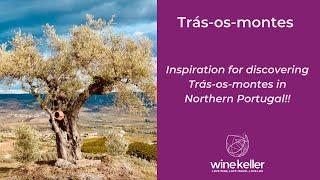 Inspiration for discovering Tras-os-Montes in Northern Portugal