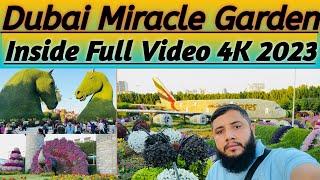 Dubai  Miracle Garden (4K) Walking Tour 15 November 2023 #abubhaidubai #youtube