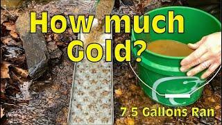 7.5 Gallons…. How much Gold? Sluicing for Gold