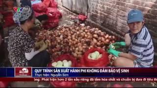 Tin Nóng Trong Ngày: Giật Mình Công Nghệ Chế Biến Hành Khô Từ Khoai Tây Thối | VTV24