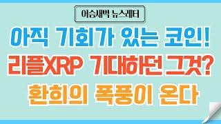 [정규#143] 리플XRP 드디어 그날이 온다/코인 투자자 정신 교육 방송 #비트코인 #이더리움 #리플 #코인