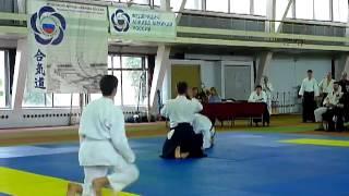 aav_2013.480
