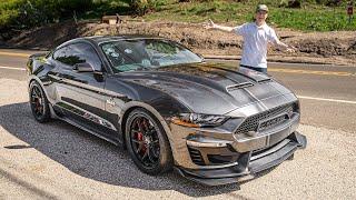 All-New 825HP Shelby Super Snake First Drive & POV! BETTER Than Ford's GT500?