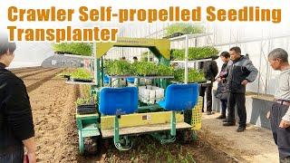 Crawler Self-Propelled Vegetable Seedling Transplanter - Precision Planting for Efficient Farming