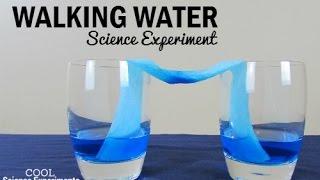 Walking Water Science Experiment