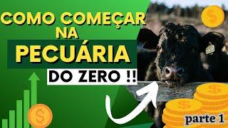 COMO COMEÇAR NA PECUÁRIA DO ZERO !!         / Parte 1.