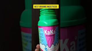 Kaka - The Best Organic Insecticide and Bio-stimulant for Plants #shortvideo #shorts