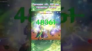 урон Тигнари под баффами | с0, 80 уровень, 8-8-8 | Genshin Impact