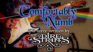 Comfortably Numb, if it were written by Dire Straits