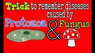 Trick to remember diseases caused by Protozoa & fungus I by BioTrickology