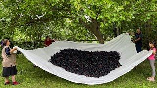 Picked a Berries and Made Jam! Rustic Mulberry Sweetness