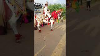 # Shaadi mein kiya Ghodi Ne khulkar dance