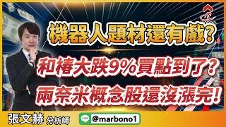 2025年1月9日 ｜機器人題材還有戲? 和椿大跌9%買點到了?台積電的兩奈米概念股還沒漲完!  #雍智科技#旺矽#穎崴｜#超越飆股 #張文赫