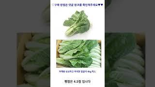 야채왕 싱싱하고 아삭한 얼갈이 4kg 박스 가성비 꿀맛 #shorts 내돈내산