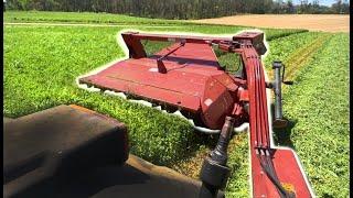 Mowing ,Tedding, Raking FIRST CUTTING ALFALFA (Making Hay in PA)