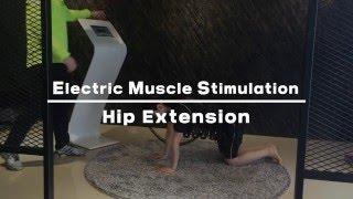 EMS - Hip Extension(힙 익스텐션) [오마이헬스X비바라짐]