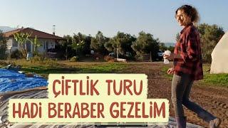 ÇİFTLİK TURU | TÜM DETAYLARIYLA | NELER ÜRETİYORUM NASIL GEÇİNİYORUM