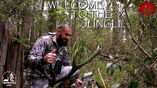 WELCOME TO THE JUNGLE _ RED DEER - WILDLIFE - 4K - ZAHUNTERS DIARIES