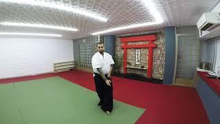 Hasan Mert Bozdoğan Sensei / Freestyle Katana Forms - 1