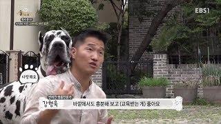 줄을 당기고 쉽게 흥분하는 반려견 핸들링 방법｜반려견 기초 상식