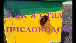 Как я стал пчеловодом. Как завести пчел. Пчелы Бакфаст. Пасека с нуля.