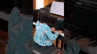 Steinway vs Bosendorfer side-by-side comparison