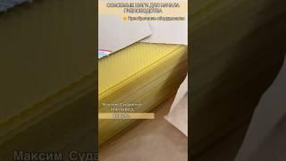 Основные шаги для начала пчеловодства!