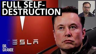 Did Tesla "Full Self-Driving" Mode Drive Slam Model 3 Into a Tree | Hans von Ohain Case Analysis