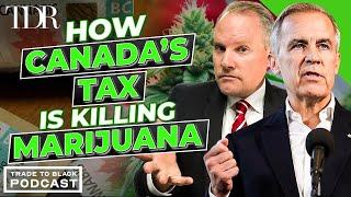 How the Government is holding back the Marijuana Industry from EXPLODING | Trade to Black