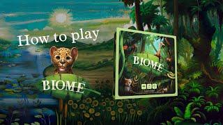 How to play Biome! Set up & play in 10 minutes.