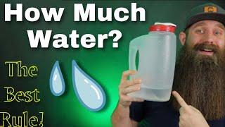 How Much Water You Should Drink for Beard Health - a specific rule!