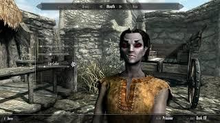 Can't believe I bought SKYRIM for the 3rd time.... worth