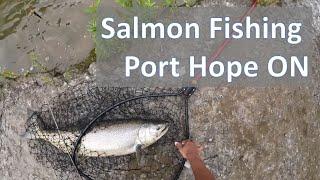 Chinook Salmon fishing in Port Hope 2024 - How to get your butt kicked by fish!