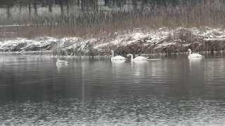 Der Erikasee im Winter (30.12.2014)