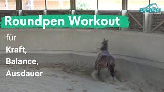 Roundpen Workout für Pferde: Ausdauer, Kraft und Balance steigern