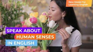 Learn About Human Senses In English (b1+/b2): Over 30 Words Explained With Examples