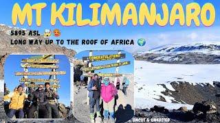 Why Climb Tallest Mountain in Africa  MT KILIMANJARO️  #adventure #viralvideos #explore