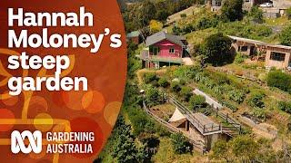 Hannah Moloney's progress creating her steep terrace garden | Garden Design | Gardening Australia